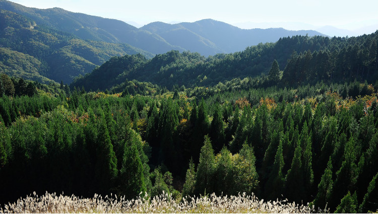 西粟倉村の山並み