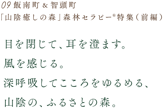 目を閉じて、耳を澄ます。風を感じる。深呼吸してこころをゆるめる、山陰の、ふるさとの森。