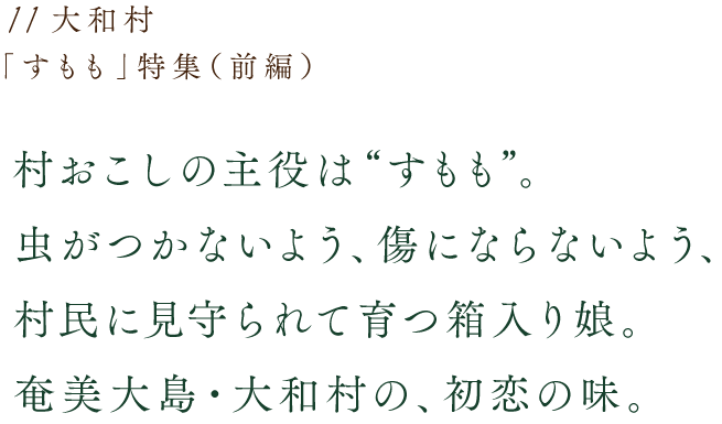 村おこしの主役は“すもも”。虫がつかないよう、傷にならないよう、村民に見守られて育つ箱入り娘。奄美大島・大和村の、初恋の味。