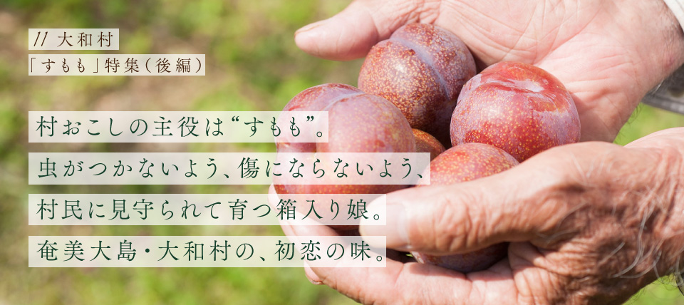 大和村