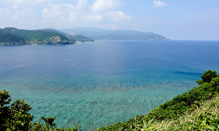 大和村の景色